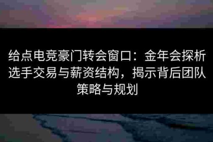 给点电竞豪门转会窗口：金年会探析选手交易与薪资结构，揭示背后团队策略与规划