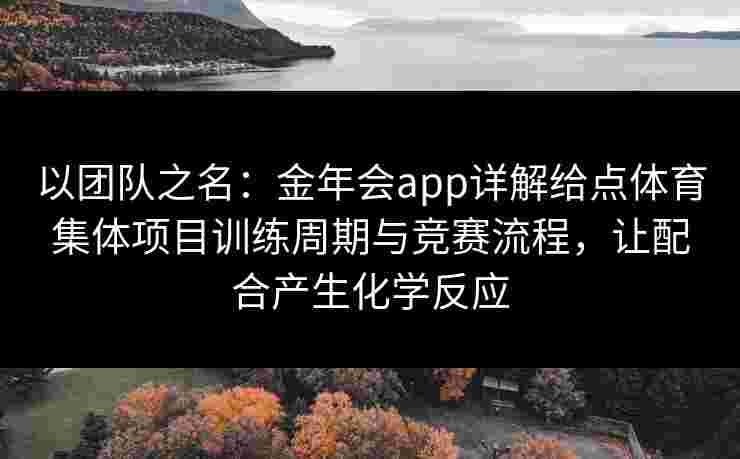 以团队之名：金年会app详解给点体育集体项目训练周期与竞赛流程，让配合产生化学反应